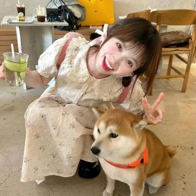 美丽失败者